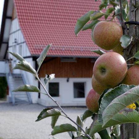 Ferienhof Waggershauser Friedrichshafen Kültér fotó